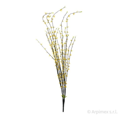 BUSH GINESTRA x 5 CM.85 YELLOW